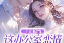 上司撩情，这办公室恋情我谈定了小说全文哪里可以免费看？-薯片文学