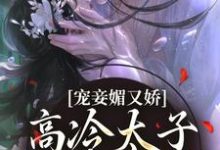 宠妾媚又娇，高冷太子为她失了魂宁宁萧璲，宠妾媚又娇，高冷太子为她失了魂在线无弹窗阅读-薯片文学