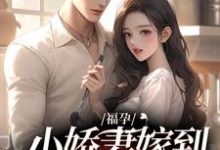 完结版《福孕小娇妻嫁到，大佬宠上头了》免费阅读-薯片文学