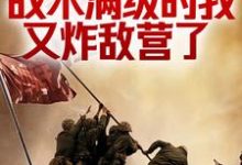 完結版《抗戰：戰術滿級的我又炸敵營了》章節目錄在線閱讀-薯片文學