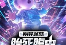 小说《刚穿越就胎死腹中，我化身诡婴》在线章节阅读-薯片文学