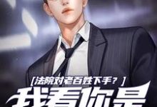 法院对老百姓下手？我看你是活腻了周云，法院对老百姓下手？我看你是活腻了最新章节-薯片文学