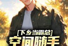 完整版的下乡当霸总，空间随手一套就有货小说在哪里可以免费读到？-薯片文学
