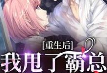 完结版《重生后，我甩了霸总享单身夜》章节阅读-薯片文学