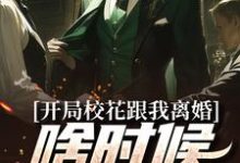 完结版《开局校花跟我离婚,啥时候结的婚?》章节阅读-薯片文学