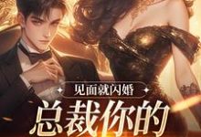 完結版《蓄謀已久，我被京圈太子強娶了》章節閱讀-薯片文學