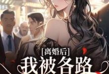 《離婚後，我被各路大佬纏上了》小說大結局免費試讀 蘇悅小說-薯片文學