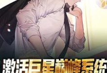 《激活巨星巅峰系统,我成了最强球星》全集免费在线阅读(叶枫)-薯片文学