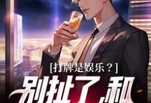 打牌是娱乐？别扯了，和打仗差不多小说阅读，打牌是娱乐？别扯了，和打仗差不多完结版-薯片文学