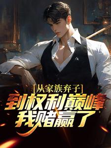 小说《从家族弃子到权利巅峰，我赌赢了》在线章节阅读