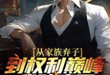 从家族弃子到权利巅峰,我赌赢了小说有没有完整的免费版本在线阅读?-薯片文学