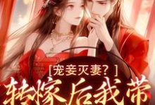 宠妾灭妻?转嫁后我带皇子夺王位谢景卓沈晚小说在线章节目录阅读最新章节-薯片文学