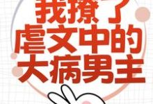求为了活命，我撩了虐文中的大病男主小说的全文免费阅读链接-薯片文学