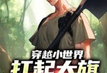 穿越小世界,扛起大旗就是干刘念安李淑兰小说大结局免费试读-薯片文学