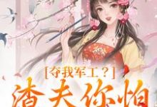 凌朝歌南宫阎小说完结版在线阅读，夺我军工？渣夫你怕是没命享免费看-薯片文学