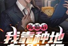 完结版《离婚后，我靠种地身价过亿》在线免费阅读-薯片文学