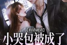 已完结小说《将错就错:小哭包被成了大佬心尖宠》章节免费阅读-薯片文学