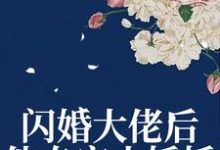 完结版《闪婚大佬后,他专宠小娇娇》章节目录在线阅读-薯片文学