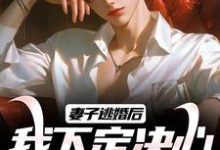 叶陵苏颜小说在线章节免费阅读（妻子逃婚后，我下定决心选了她无弹窗无删减）-薯片文学