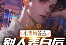 《小青梅答应别人表白后,我自由了》小说章节列表免费试读,叶安秦兰小说在线阅读-薯片文学