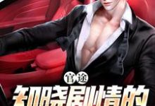 江忠清李婉婷小说叫什么（官途：知晓剧情的我无敌了免费阅读）-薯片文学