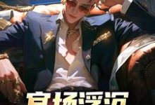 官场浮沉：不躺平才能赢免费阅读，官场浮沉：不躺平才能赢章节目录-薯片文学