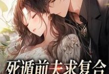 死遁前夫求复合，再婚老公红了眼这本小说在哪里可以看？哪里有免费试读章节？-薯片文学