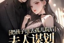 小说《把孩子送去孤儿院后，夫人谋划总裁家产》章节阅读-薯片文学