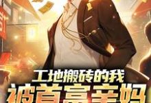 已完结小说《工地搬砖的我，被首富亲妈找回家》章节免费阅读-薯片文学