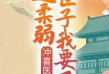 小说《冲喜医妃：这柔弱世子我要了！》章节免费阅读-薯片文学