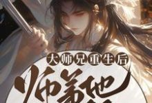 完结版《大师兄重生后，师弟他疯狂追妻》在线免费阅读-薯片文学