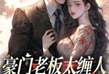 已完结小说《豪门老板太缠人,为她折腰为她疯》章节免费阅读-薯片文学