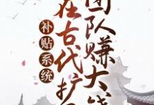 补贴系统：我在古代扩展团队赚大钱这本小说怎么样？免费在线阅读试试-薯片文学