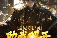 遇见守护灵，助我解开父亲的秘密小说，遇见守护灵，助我解开父亲的秘密林风-薯片文学