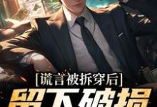 谎言被拆穿后，留下破损的婚姻小说无弹窗阅读的网站推荐-薯片文学