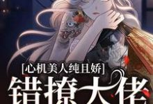 完結版《心機美人純且嬌，錯撩大佬軟了腰》免費閱讀-薯片文學