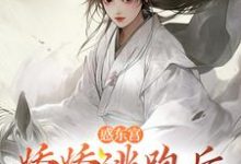 小說《惑東宮：嬌嬌逃跑後，太子發瘋啦》在線章節閱讀-薯片文學