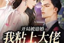 完結版《開局被退婚，我粘上大佬求做主》章節目錄在線閱讀-薯片文學