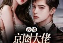 《没错,京圈大佬就是没她不行》小说章节在线试读,《没错,京圈大佬就是没她不行》最新章节目录-薯片文学