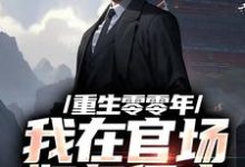 已完结小说《重生零零年:我在官场如鱼得水》最新章节-薯片文学