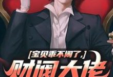 《宝贝乖不闹了，财阀大佬日撩夜哄》全集免费在线阅读（姜郁贺敛）-薯片文学