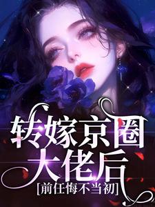 《轉嫁京圈大佬後，前任悔不當初》小說章節列表免費試讀，蘇婉禾司北琛小說在線閱讀