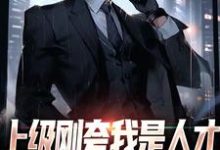 求上级刚夸我是人才，后脚让我去打杂小说的全文免费阅读链接-薯片文学