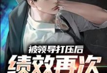 完结版《被领导打压后,绩效再次被清零!》免费阅读-薯片文学