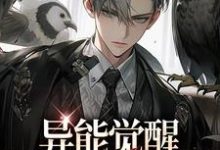 林白欧阳夏薇小说异能觉醒，749局往事录章节免费阅读-薯片文学