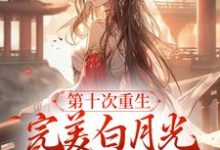 《第十次重生,完美白月光她装傻摆烂》小说大结局免费试读 温幼宜沈暮小说-薯片文学