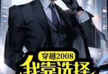 穿越2008，我靠选择躺平工厂小说完结了吗？在哪里可以免费读到？-薯片文学