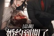 小说《总裁，婚约到期了，麻烦请放手》章节免费阅读-薯片文学