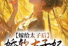 嫁给太子后,娇软太子妃藏起尖刀程婵衣小说在线章节目录阅读最新章节-薯片文学