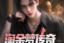 淘金梦传奇，从失业开始小说，淘金梦传奇，从失业开始章节在线阅读-薯片文学